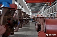 九游·网站入口-九游(中国)被评为2019年度三水区骨干企业