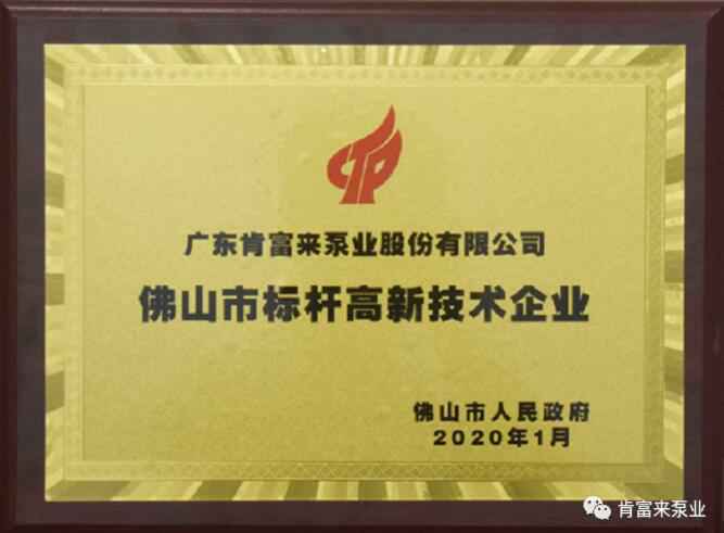 九游·网站入口-九游(中国)喜获“佛山市标杆高新技术企业”称号